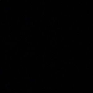 Meet your Posher, Richie